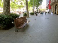 IMG_0649 IMG_0649
